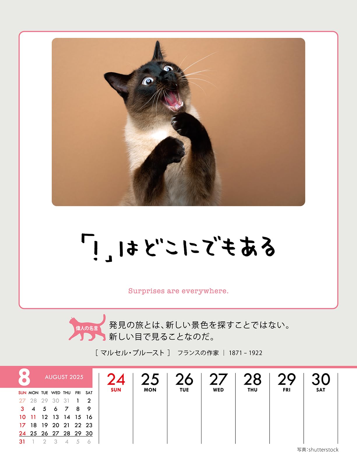にゃんたさん 専用。2025 eSL にゃんたさん 専用。2025 eSL 鉄風東京 on X: